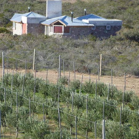 Willa La Calandria Casa De Campo Puerto Madryn Zewnętrze zdjęcie