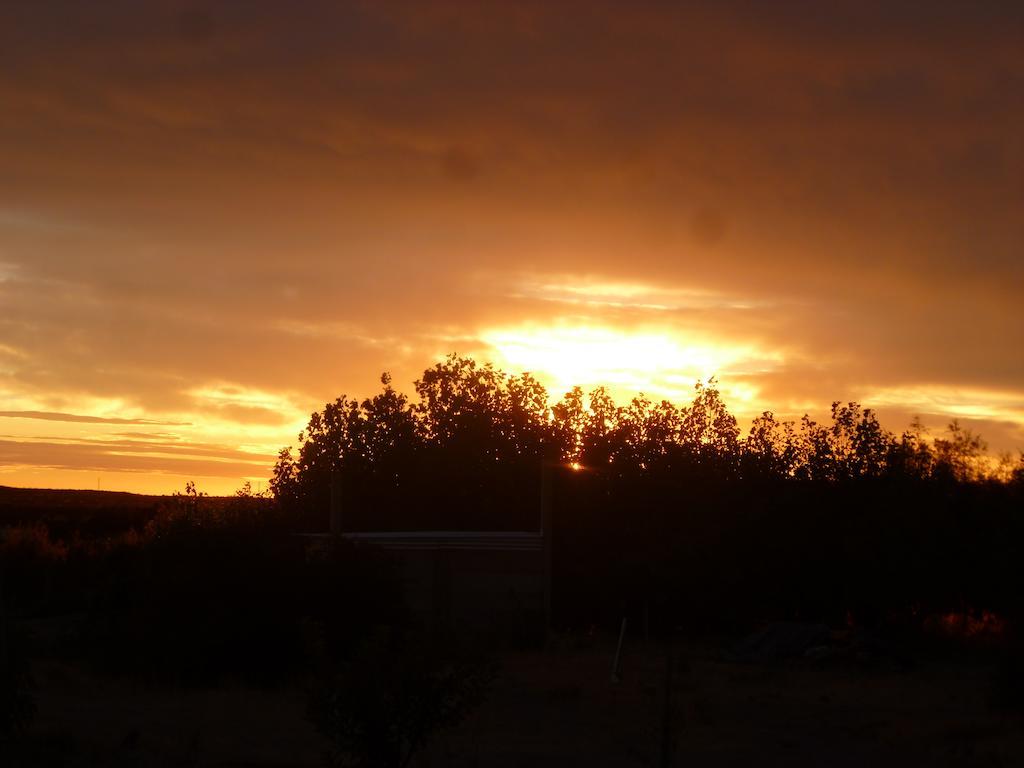 Willa La Calandria Casa De Campo Puerto Madryn Zewnętrze zdjęcie