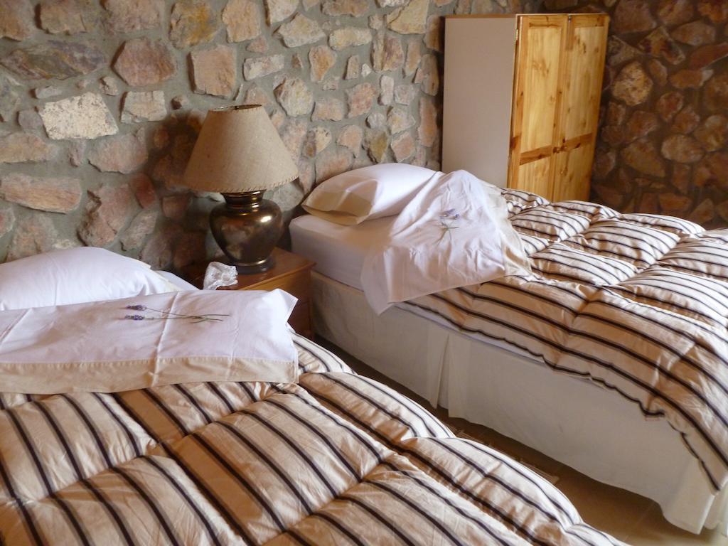 Willa La Calandria Casa De Campo Puerto Madryn Zewnętrze zdjęcie