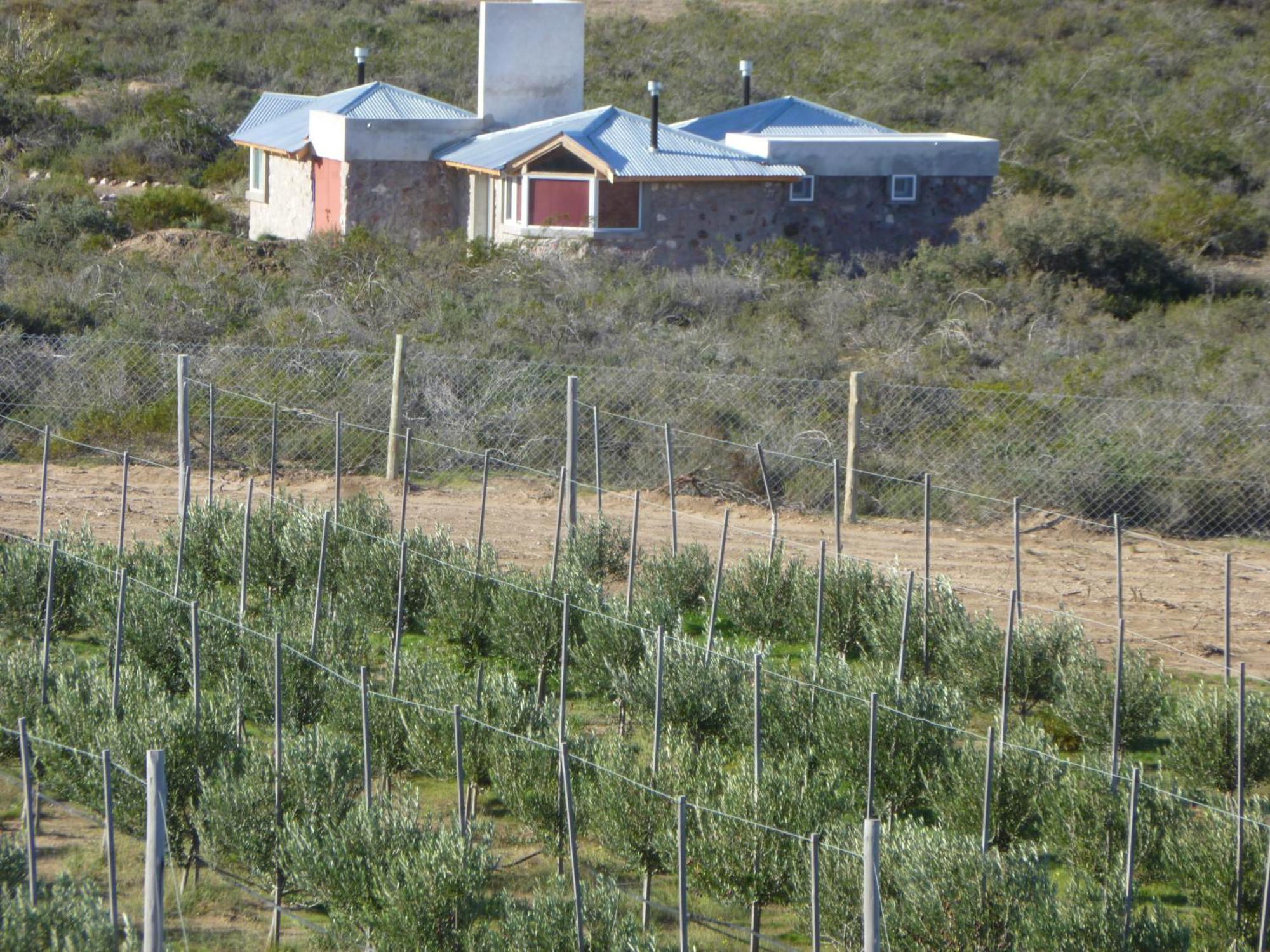 Willa La Calandria Casa De Campo Puerto Madryn Zewnętrze zdjęcie