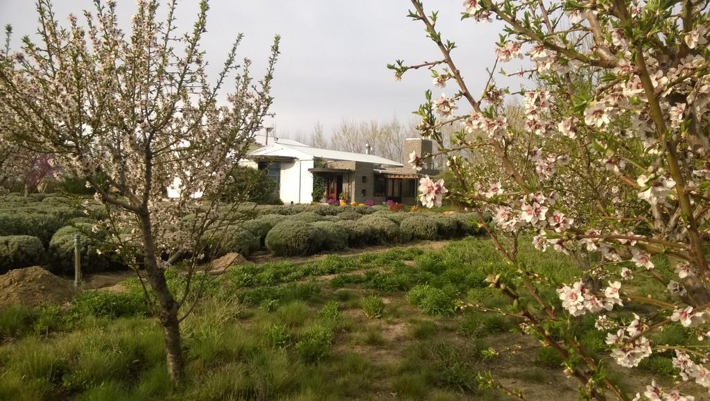 Willa La Calandria Casa De Campo Puerto Madryn Zewnętrze zdjęcie