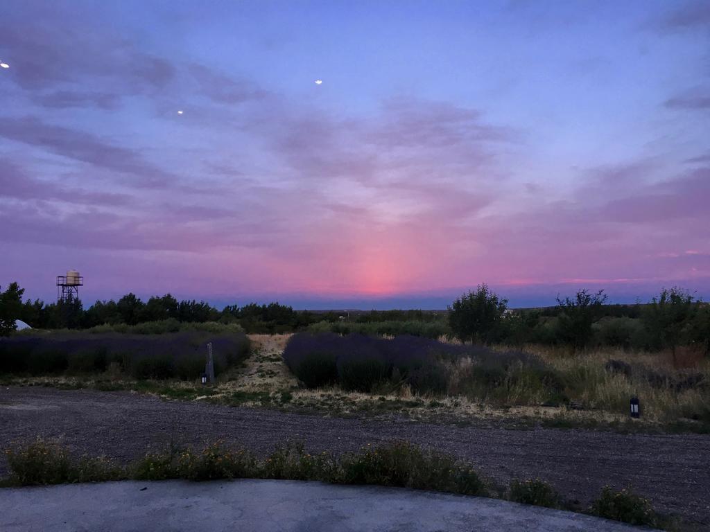 Willa La Calandria Casa De Campo Puerto Madryn Zewnętrze zdjęcie