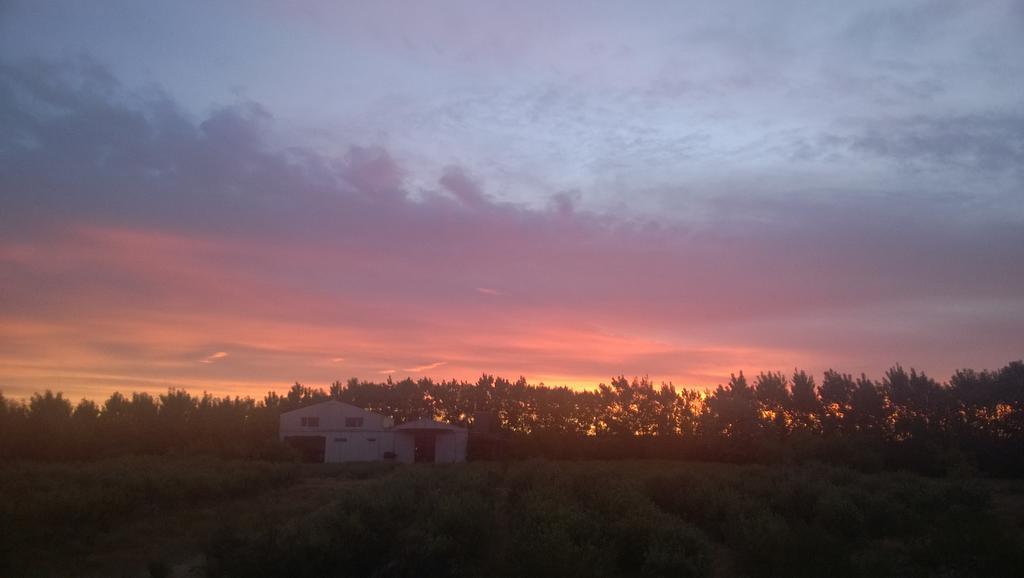 Willa La Calandria Casa De Campo Puerto Madryn Zewnętrze zdjęcie